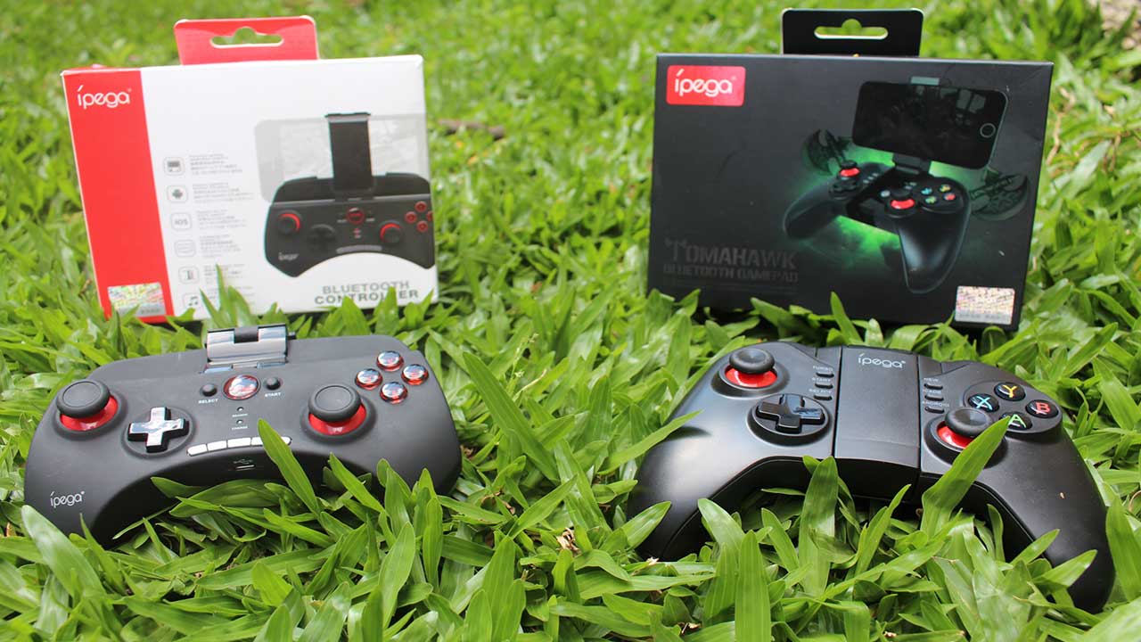 Controles ípega em destaque numa grama verde.