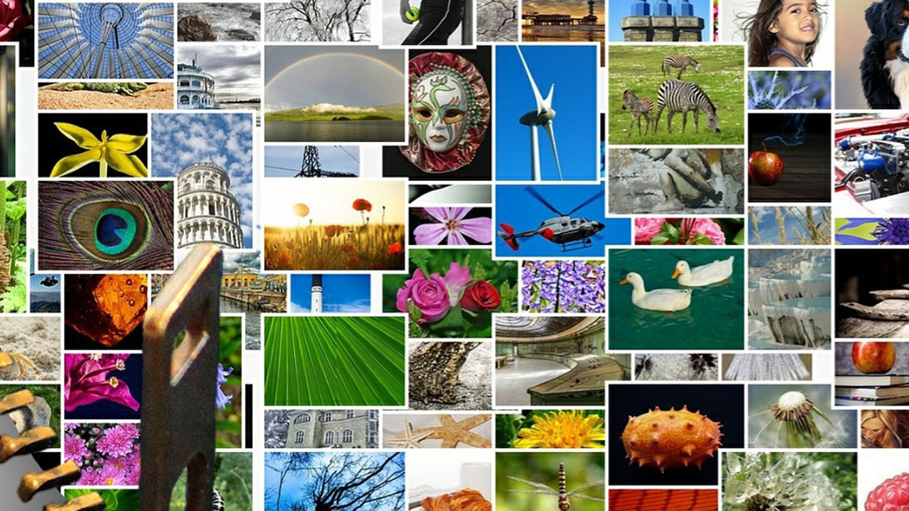 Onde conseguir vídeos, imagens e ícones gratuitos para seu projeto - Banco de imagens